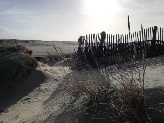 De Panne (België)